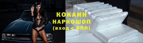стаф Алзамай