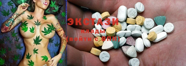 стаф Алзамай
