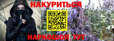 шишки Брянск