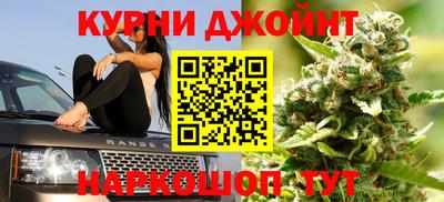 шишки Брянск