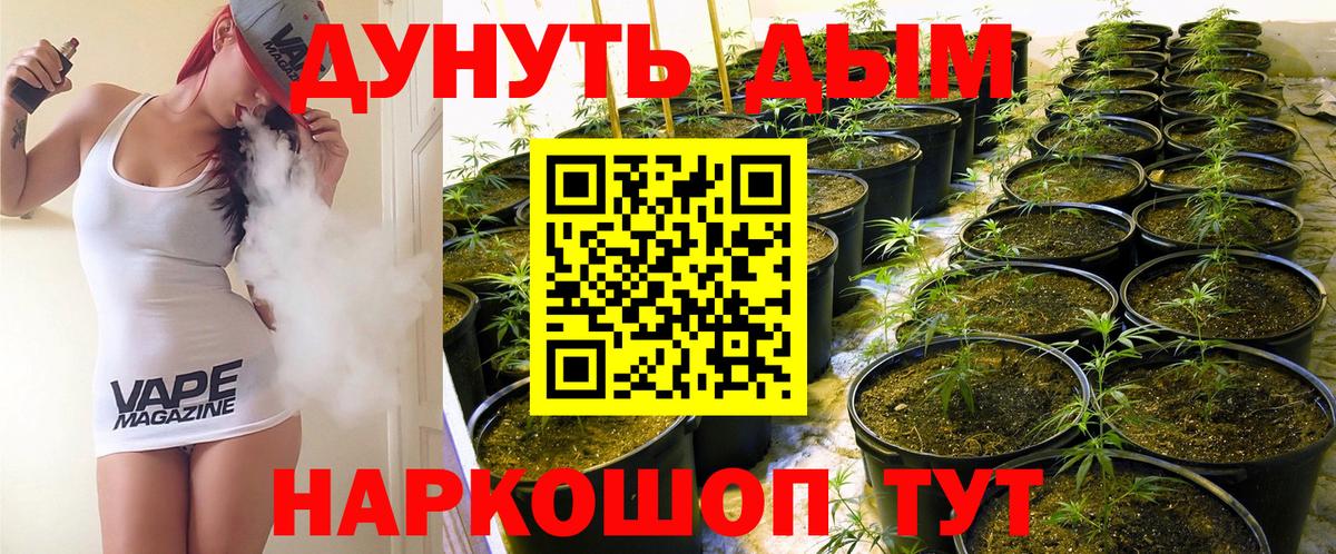 Бошки марихуана гибрид  Вход с VPN  Каннабис ГИДРОПОН  Канабис White Widow  Аргун 